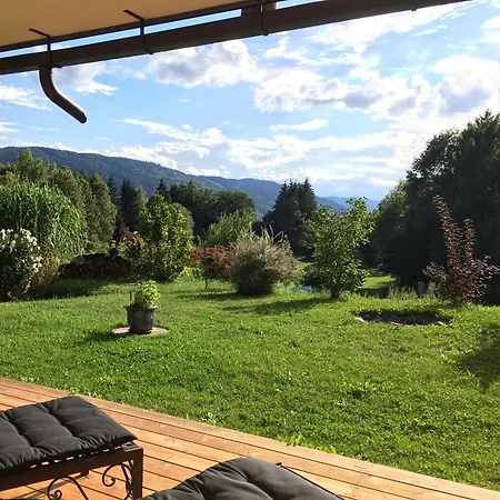 Zirben Zwischen Berg Und