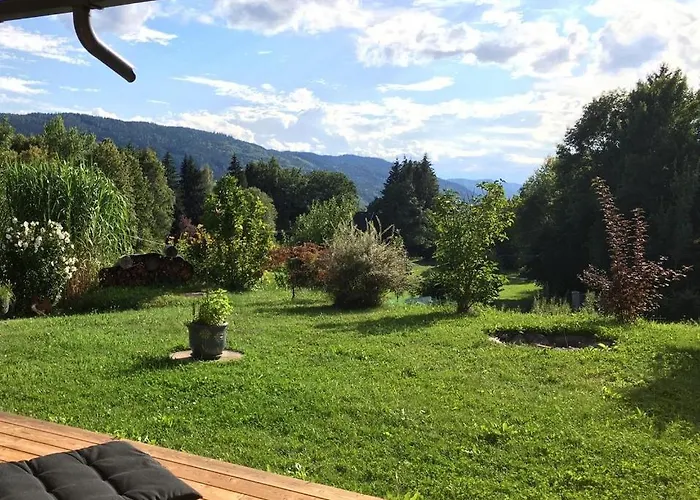 Zirben Zwischen Berg Und